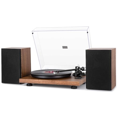 Best Turntable With Bluetooth Speakers