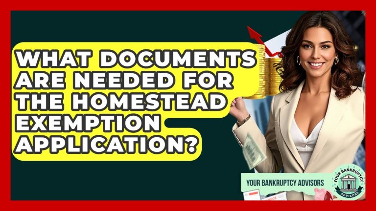 Can I File Home Stead Credcit Electronic