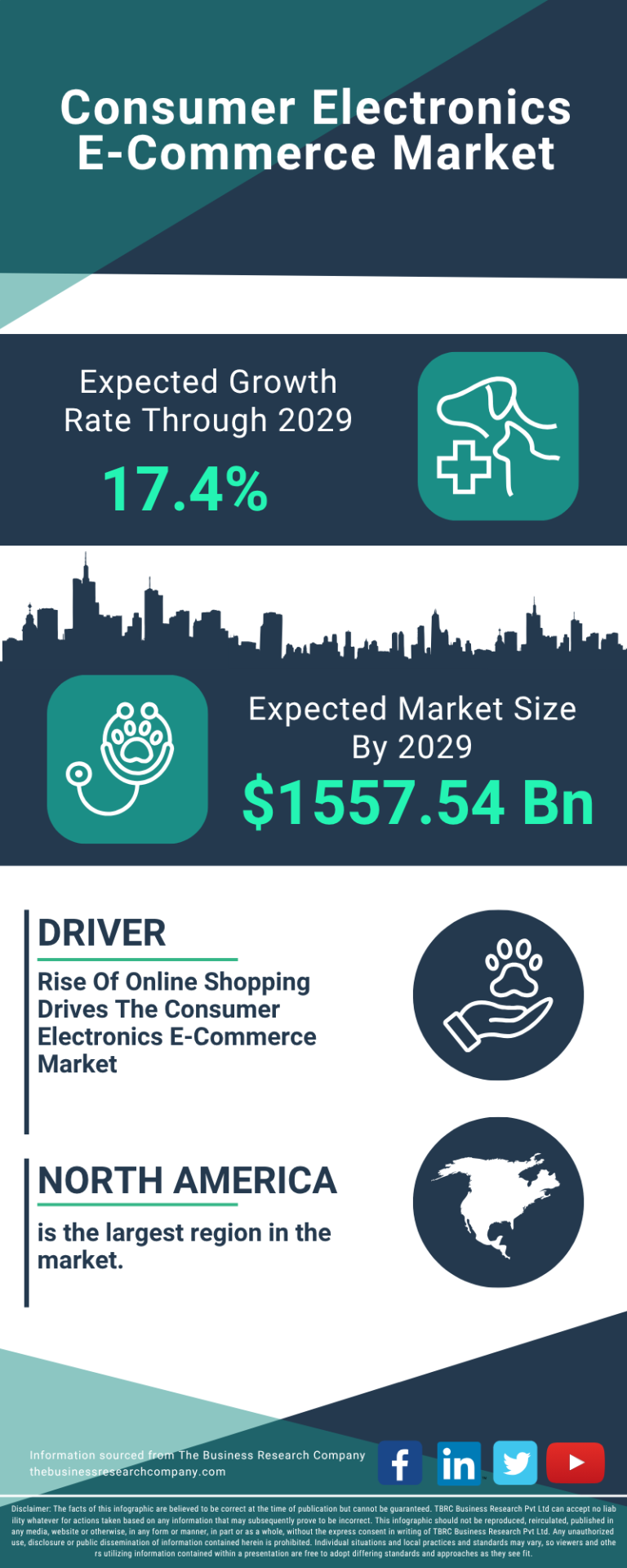 What is a Consumer Electronics Business