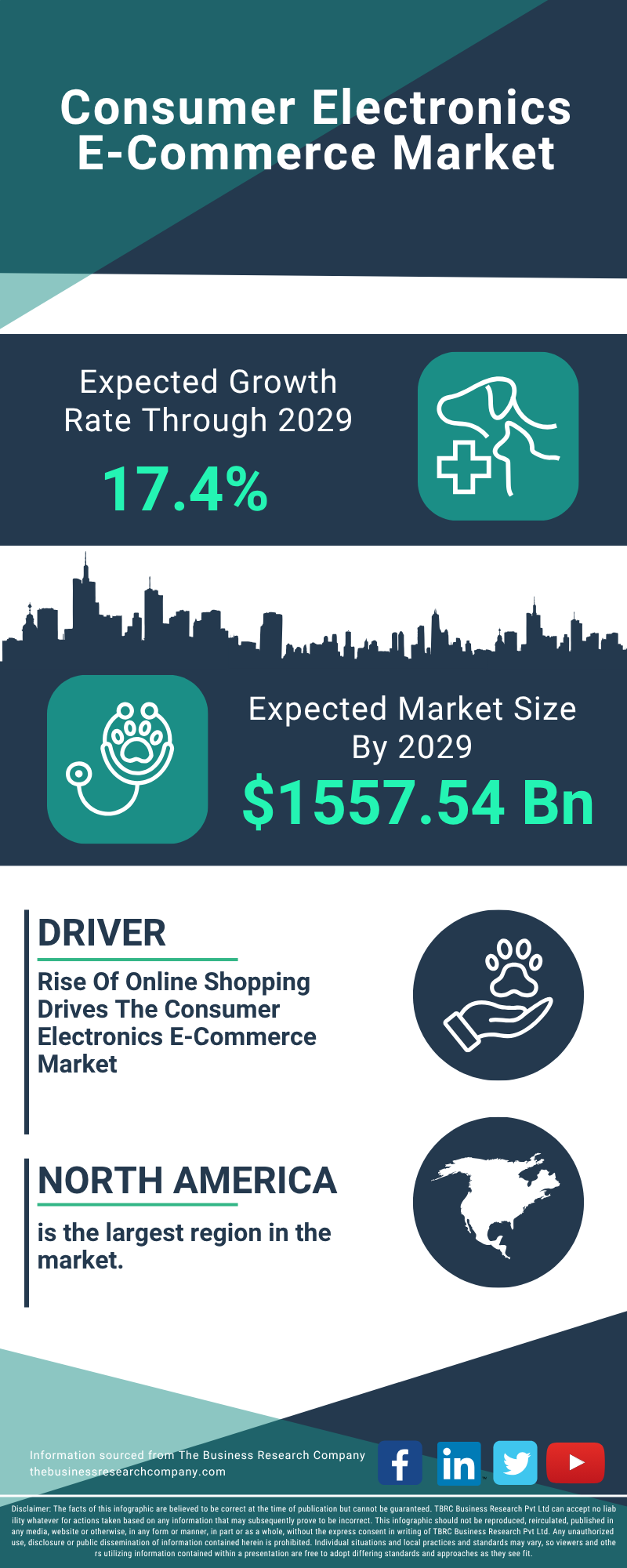 What is a Consumer Electronics Business