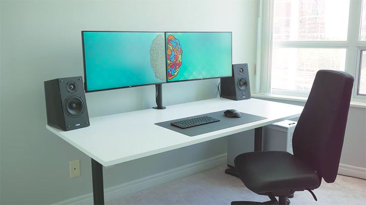 dual monitor setup